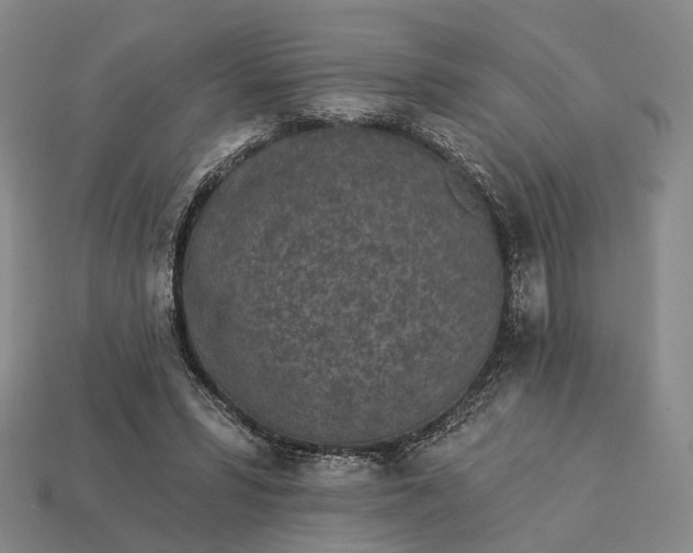 X0000112940399200909071059