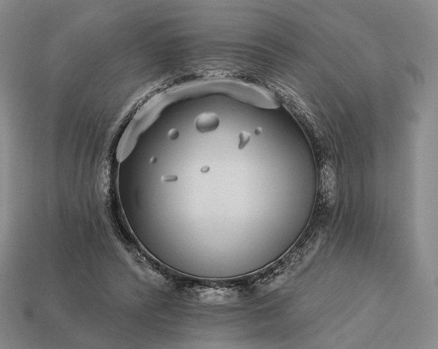 X0000112940400200909071059