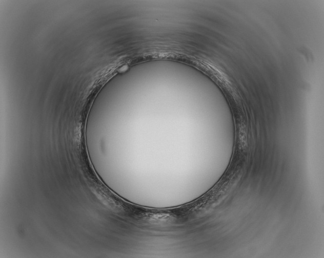 X0000112940401200909071059