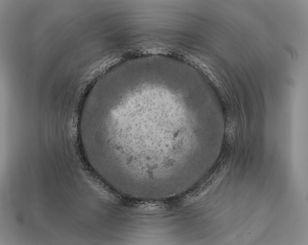 X0000112940402200909071059