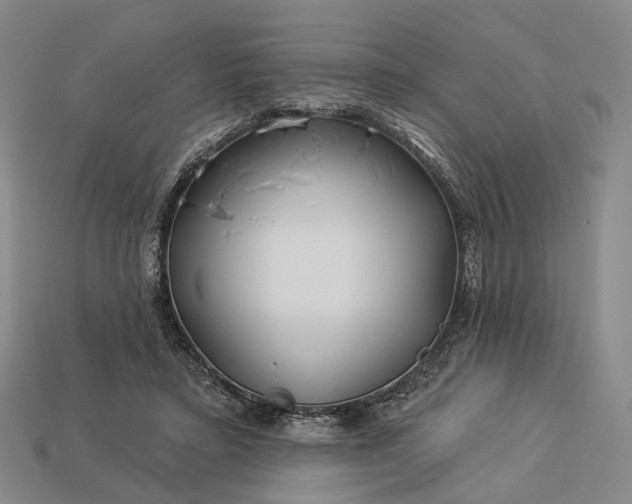 X0000112940403200909071059