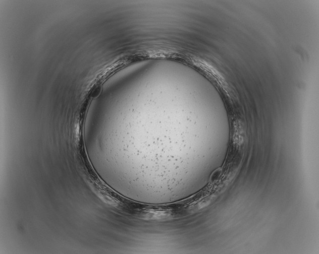 X0000112940405200909071059