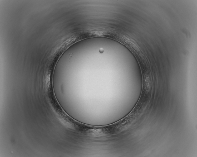 X0000112940406200909071059