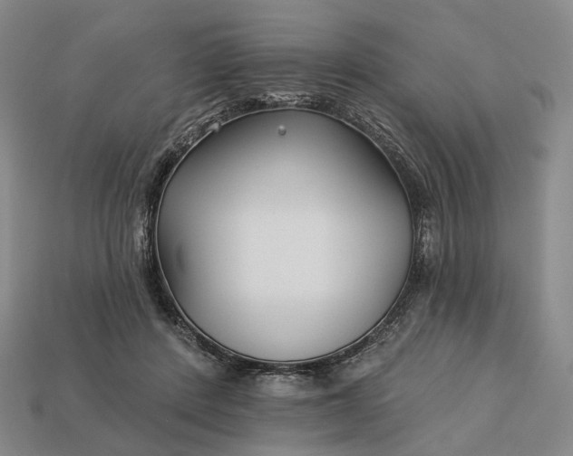 X0000112940408200909071059