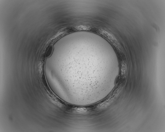 X0000112940409200909071059