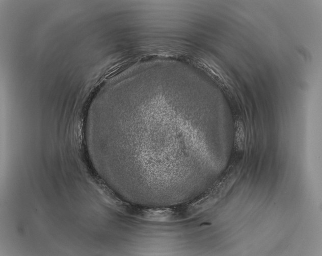 X0000112940410200909071059