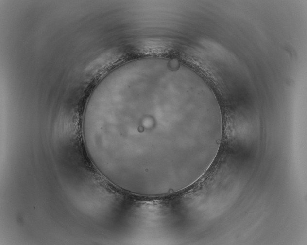 X0000112940411200909071059