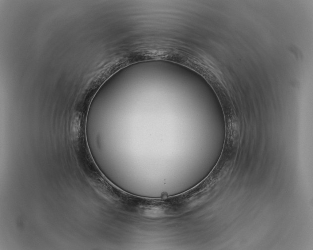 X0000112940412200909071059