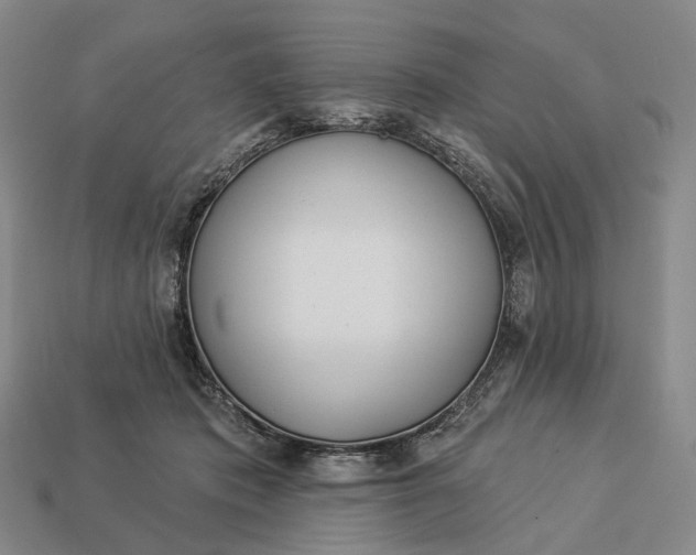 X0000112940413200909071059