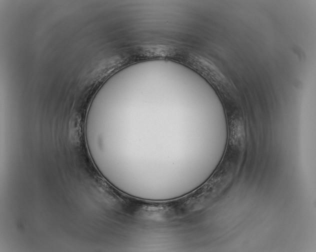 X0000112940414200909071059