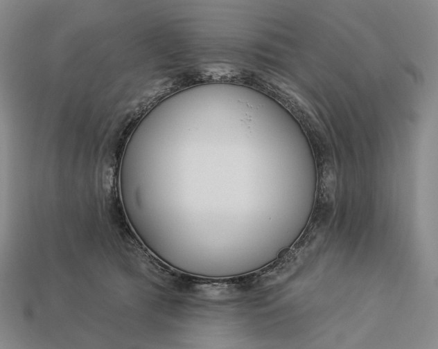 X0000112940417200909071059