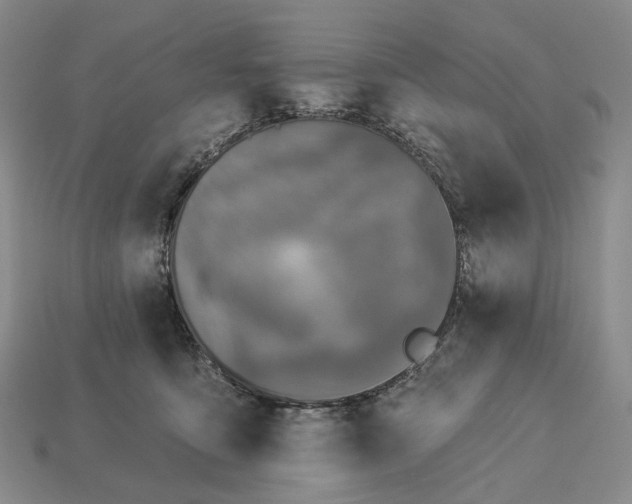 X0000112940419200909071059