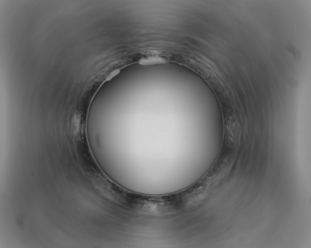 X0000112940420200909071059