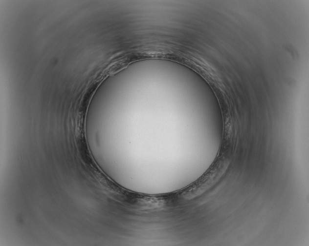 X0000112940421200909071059