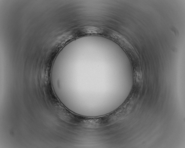 X0000112940422200909071059