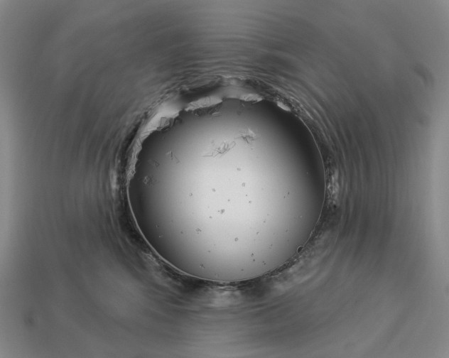 X0000112940424200909071059