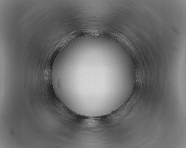 X0000112940425200909071059