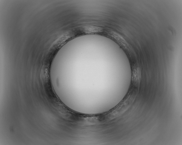 X0000112940426200909071059