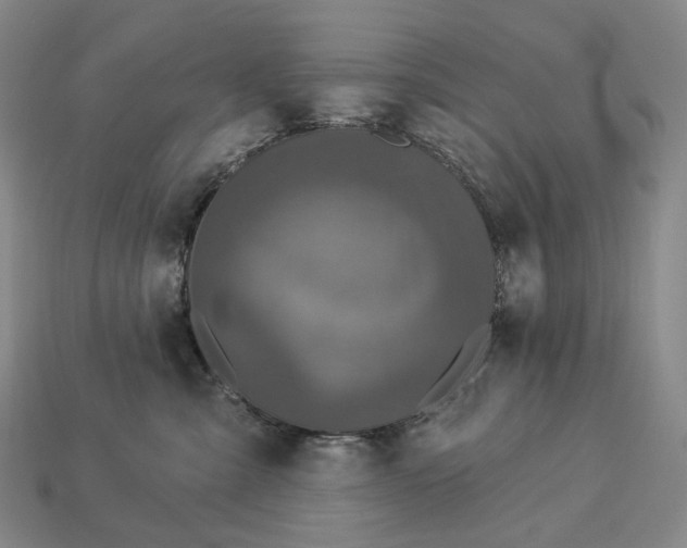 X0000112940427200909071059