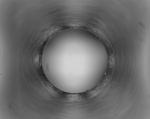 X0000112940428200909071059