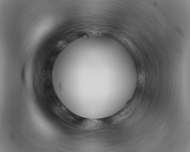 X0000112940429200909071059