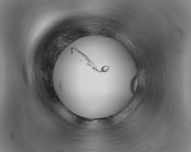 X0000112940430200909071059