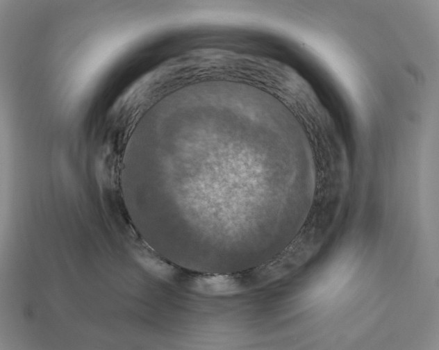 X0000112940431200909071059