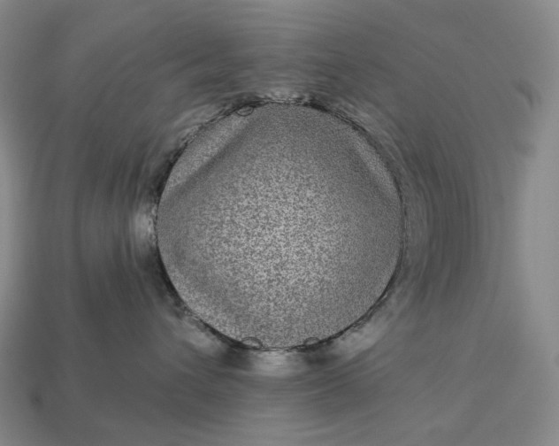 X0000112940432200909071058