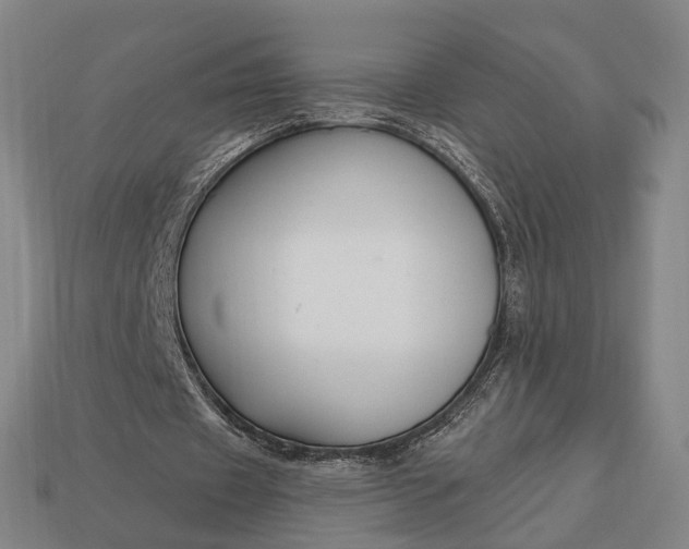 X0000112940433200909071058