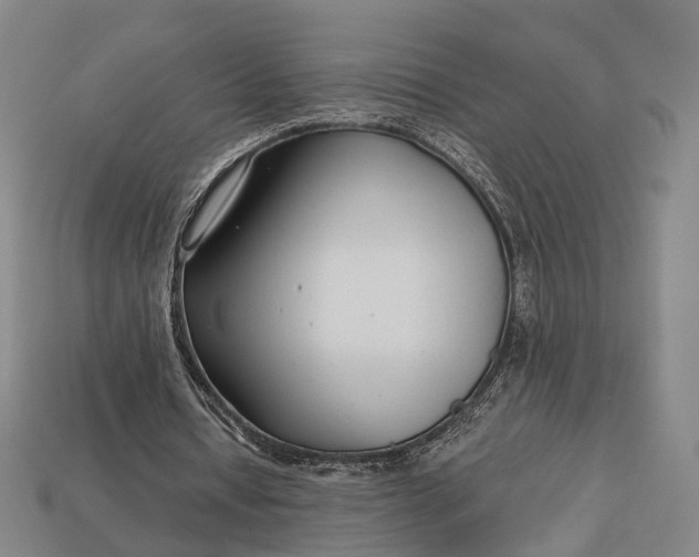 X0000112940434200909071058