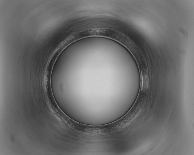 X0000112940435200909071058