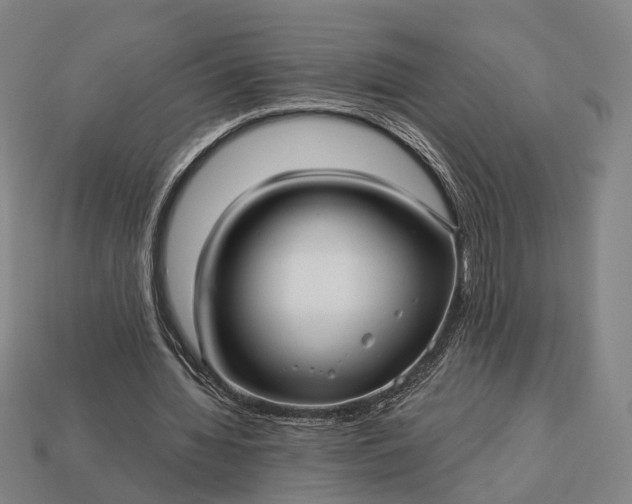 X0000112940436200909071058