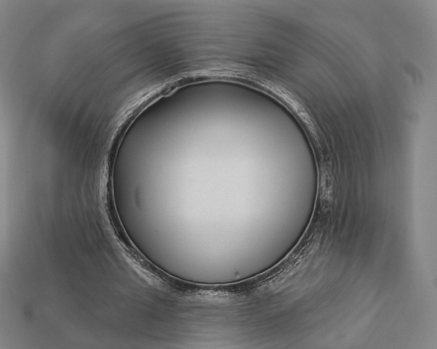 X0000112940437200909071058