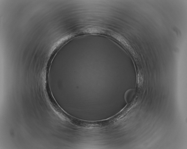 X0000112940438200909071058