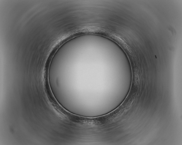 X0000112940439200909071058