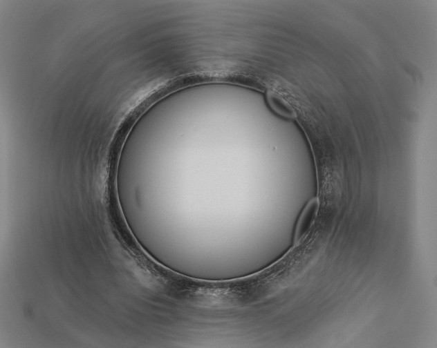 X0000112940440200909071058