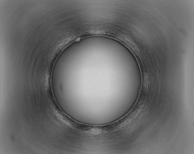 X0000112940441200909071058