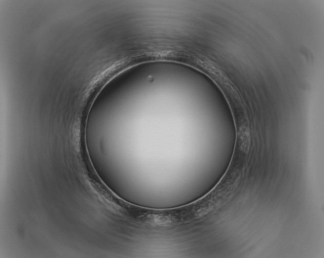 X0000112940442200909071058