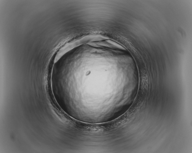 X0000112940443200909071058