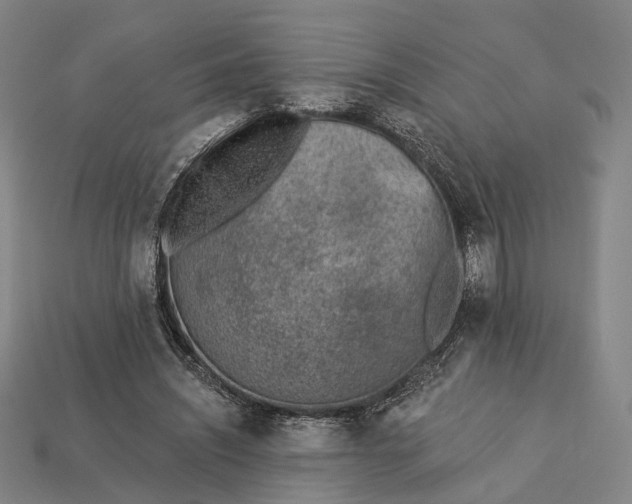 X0000112940444200909071058