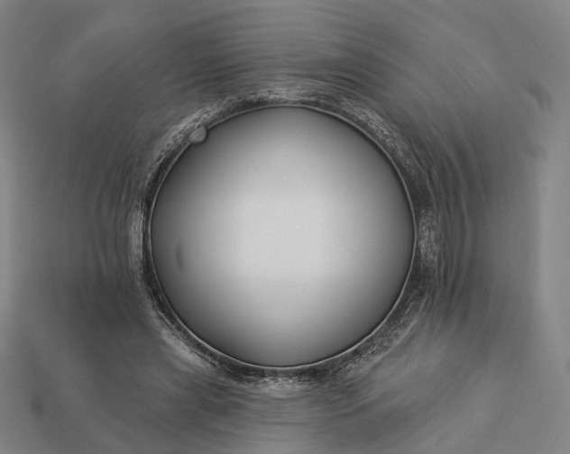 X0000112940445200909071058