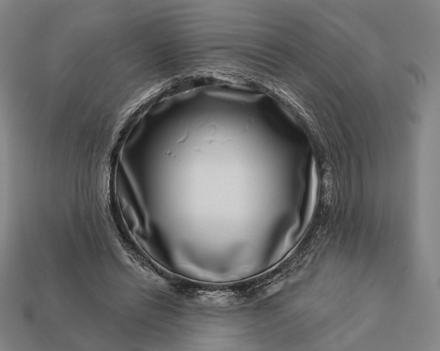 X0000112940446200909071058