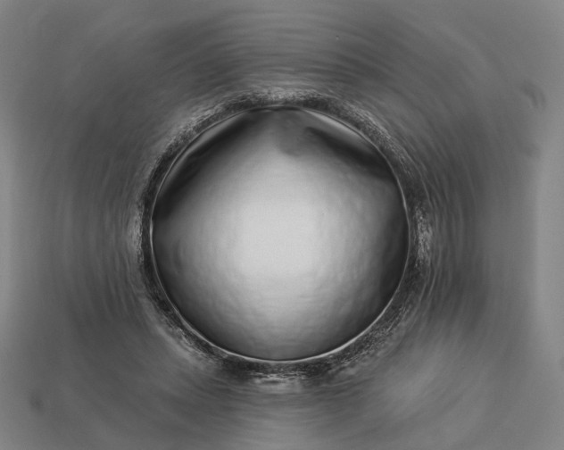 X0000112940447200909071058