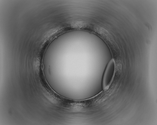 X0000112940448200909071058