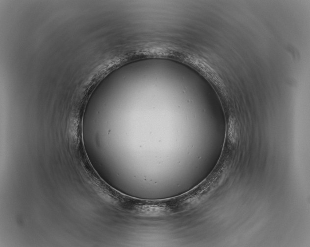 X0000112940449200909071058