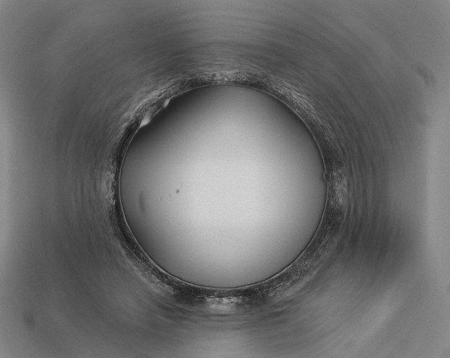 X0000112940450200909071058