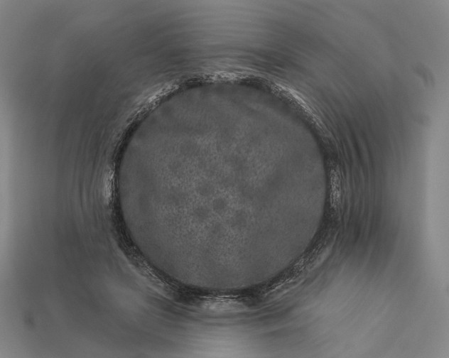 X0000112940451200909071058