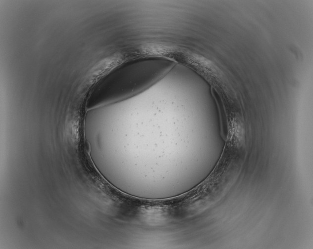 X0000112940452200909071058