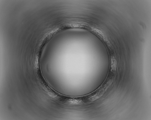 X0000112940453200909071058