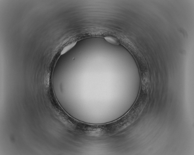 X0000112940454200909071058